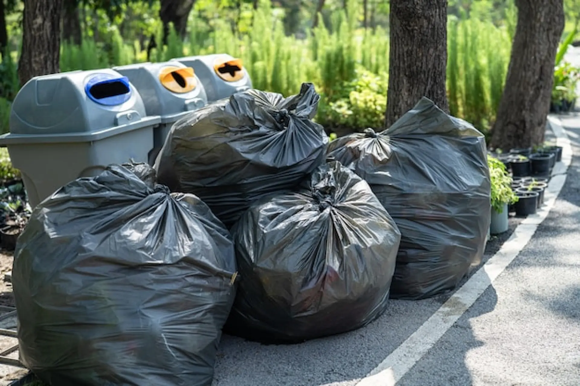 Port Talbot Waste Clearance Company